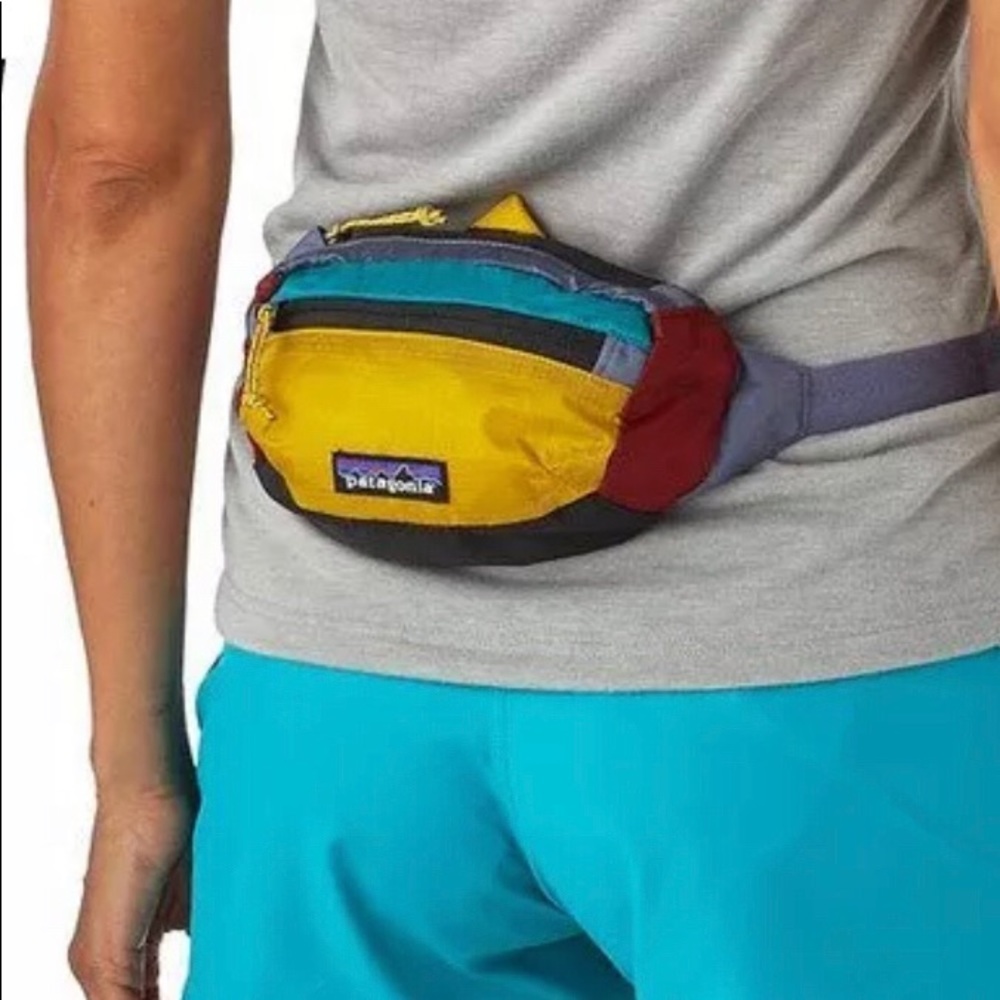 Patagonia Lightweight Travel Mini Hip Pack